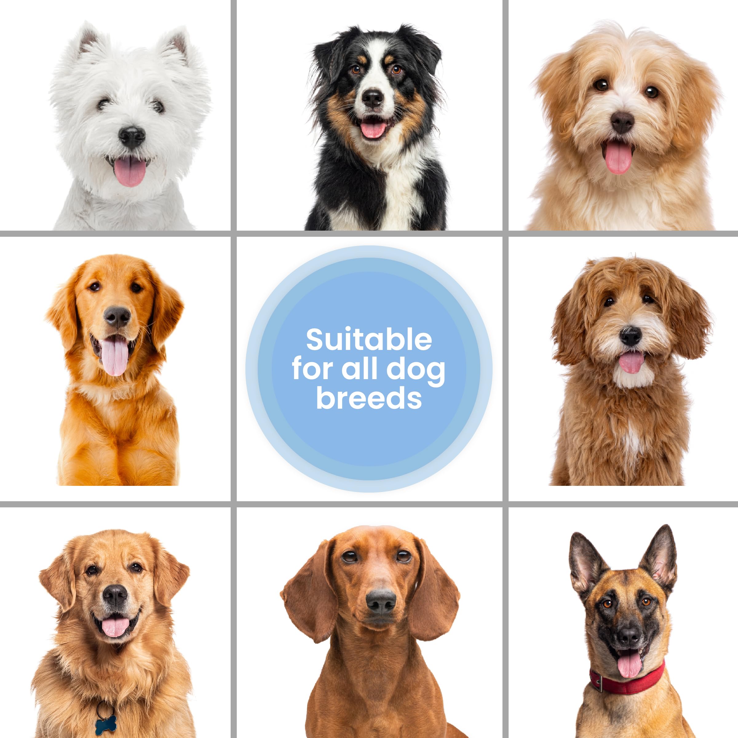 Waterless Dog Shampoo - Over 200+ Sprays Per Bottle - Cleans & Moisturizes Coat, No Rinse Dog Shampoo, Safe Foam Formula & Pet-Friendly Dog Deodorizing Spray, 7.1 oz (Ocean Breeze) [We Love Doodles] - image 6