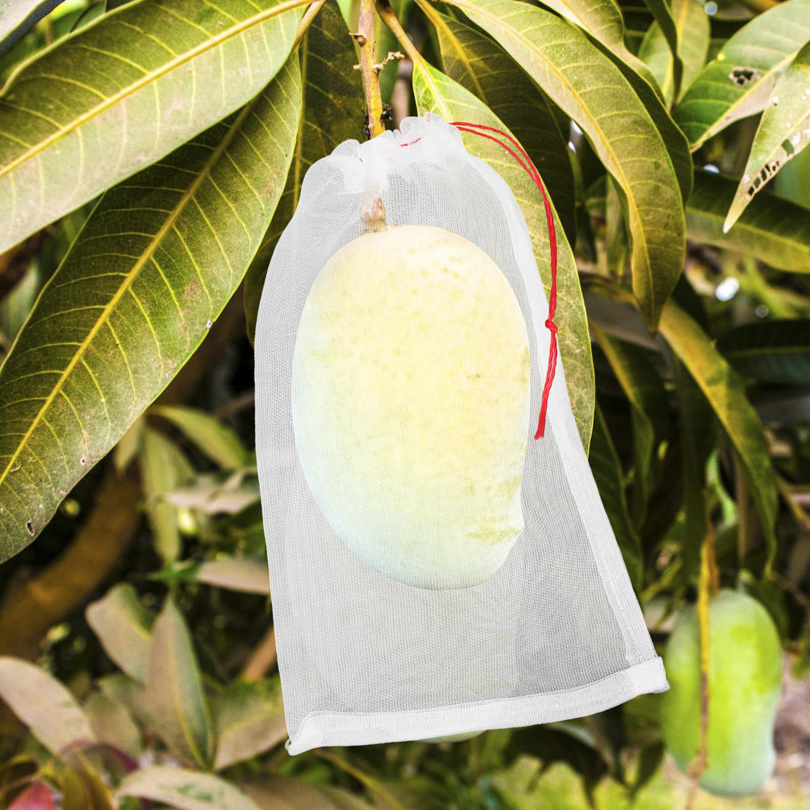 100 bolsas de protección de frutas, red de frutas de 6 x 10 pulgadas para árboles frutales, bolsa protectora de malla para uva, tomate, plátano, melocotón, manzana, flor