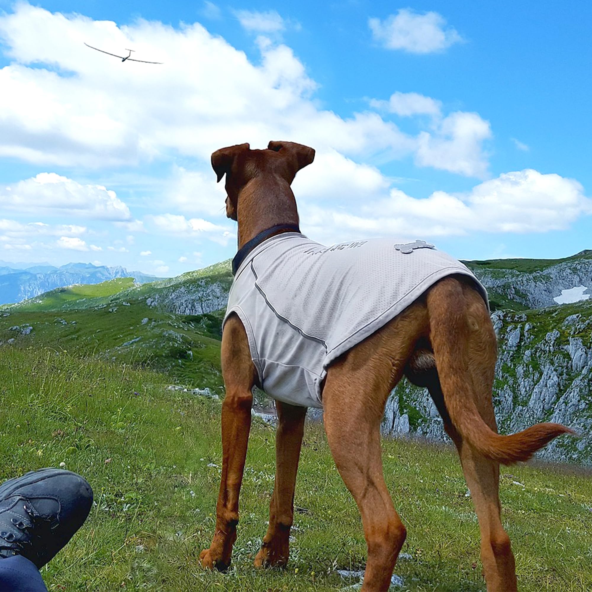 View 7