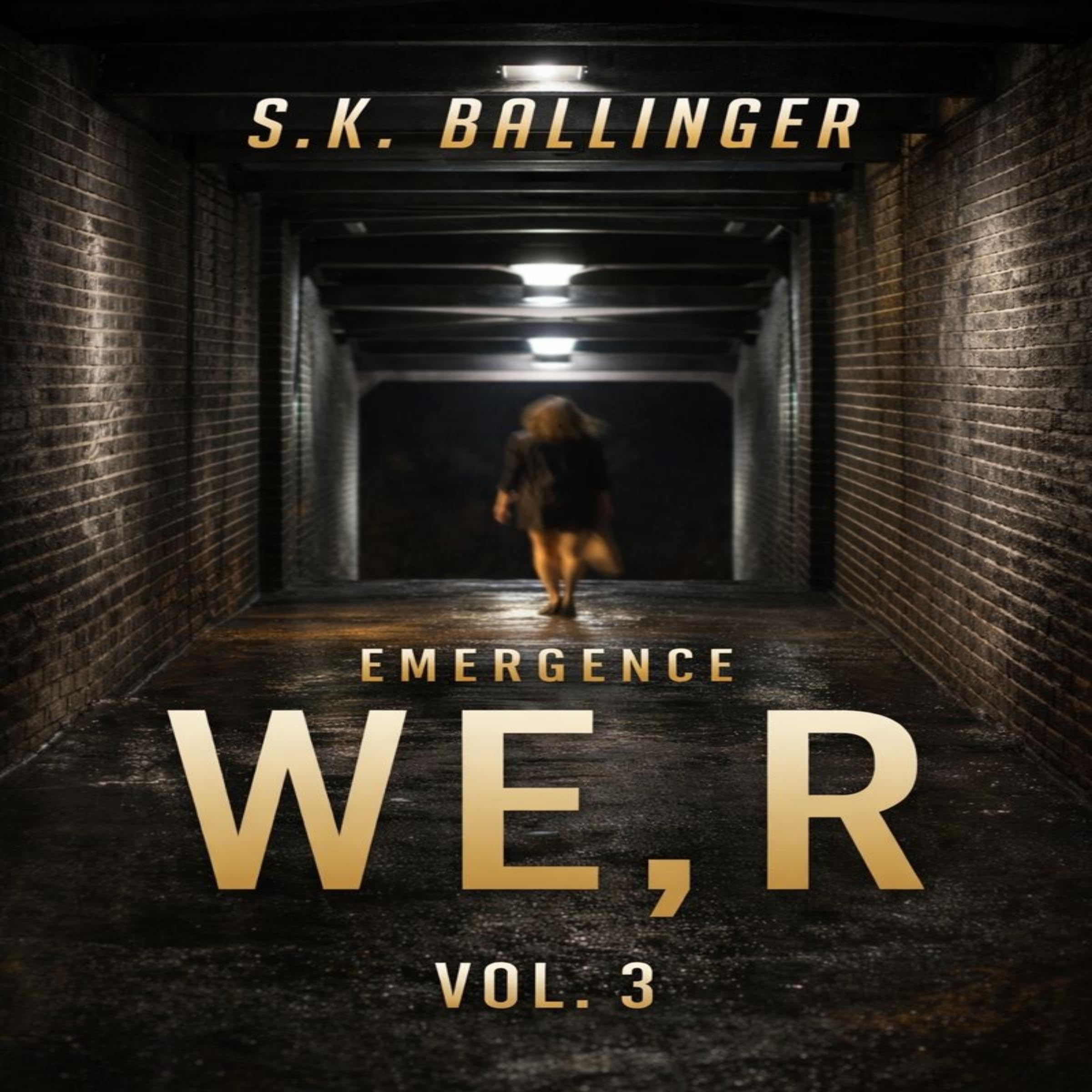 Cover art for We, R - Vol.3
