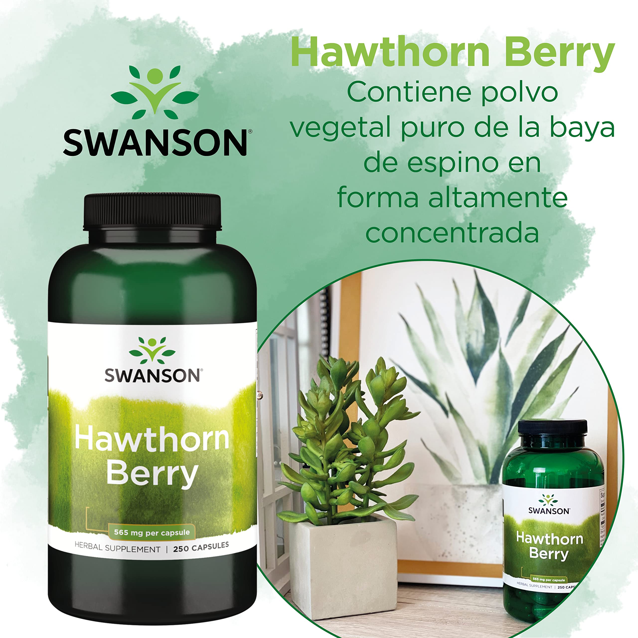 Swanson, Hawthorn Berry (Baya de Espino), 565mg, 250 Cápsulas, Alta Dosis, Probado en Laboratorio, Sin Soja, Sin Gluten, No GMO