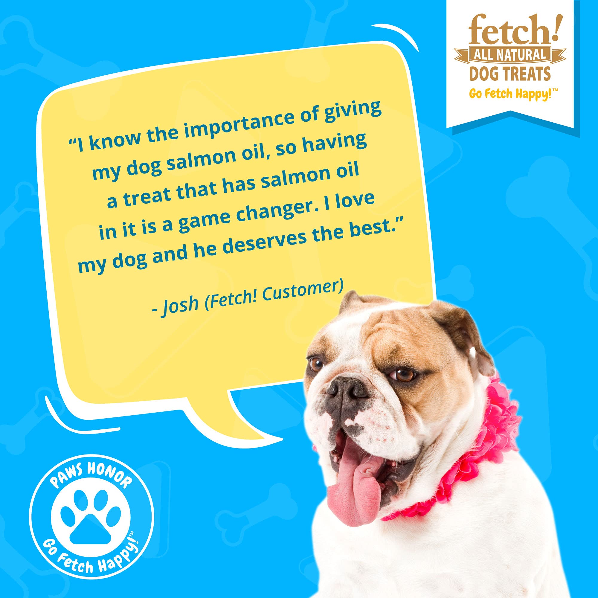 Why Does My Dog Love Fetch So Much