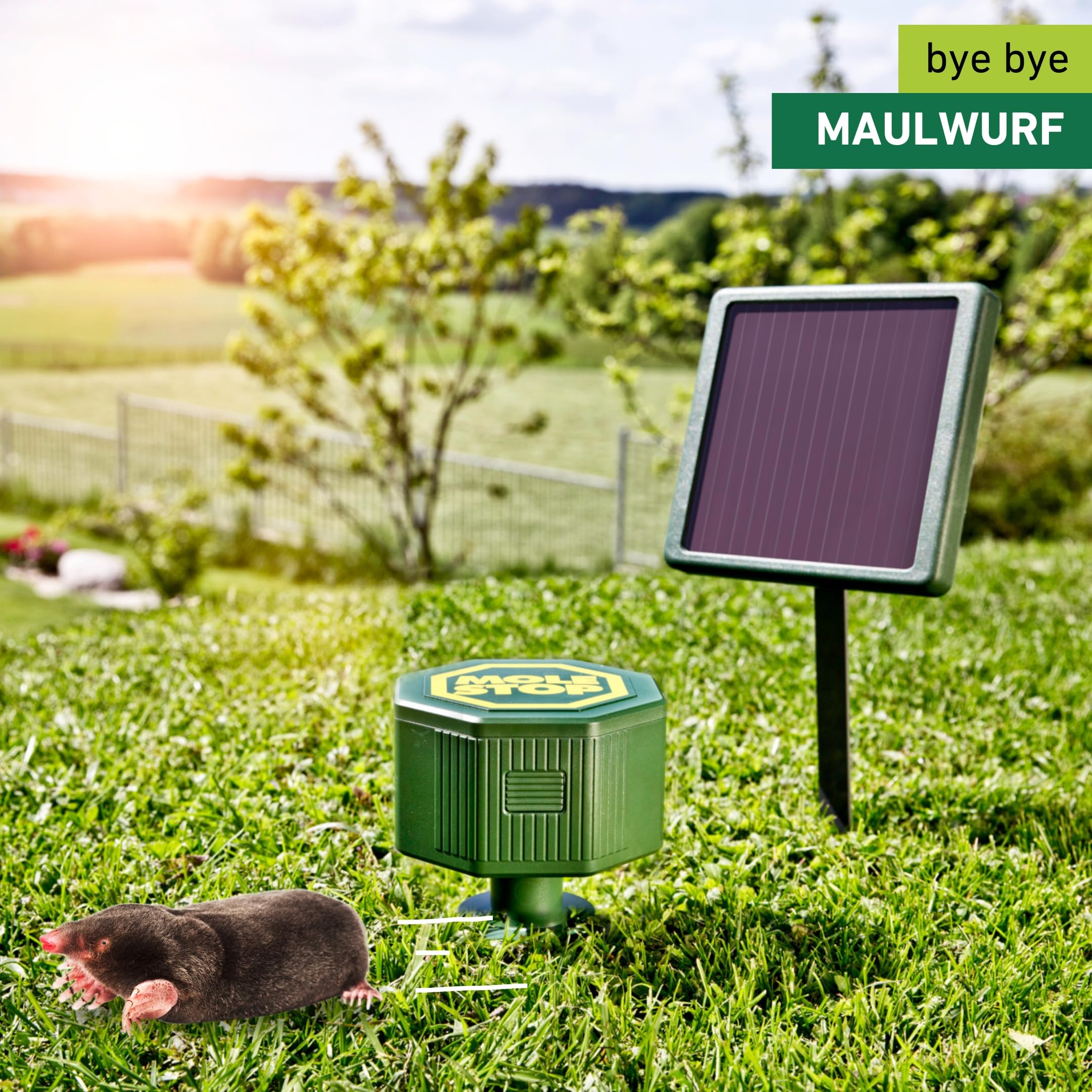 wühlmaus vibration Kemo Underground Repeller Wühlmausvertreiber Funktionsart Vibration  Wirkungsbereich 1000 m² 1 St. kaufen main image 1