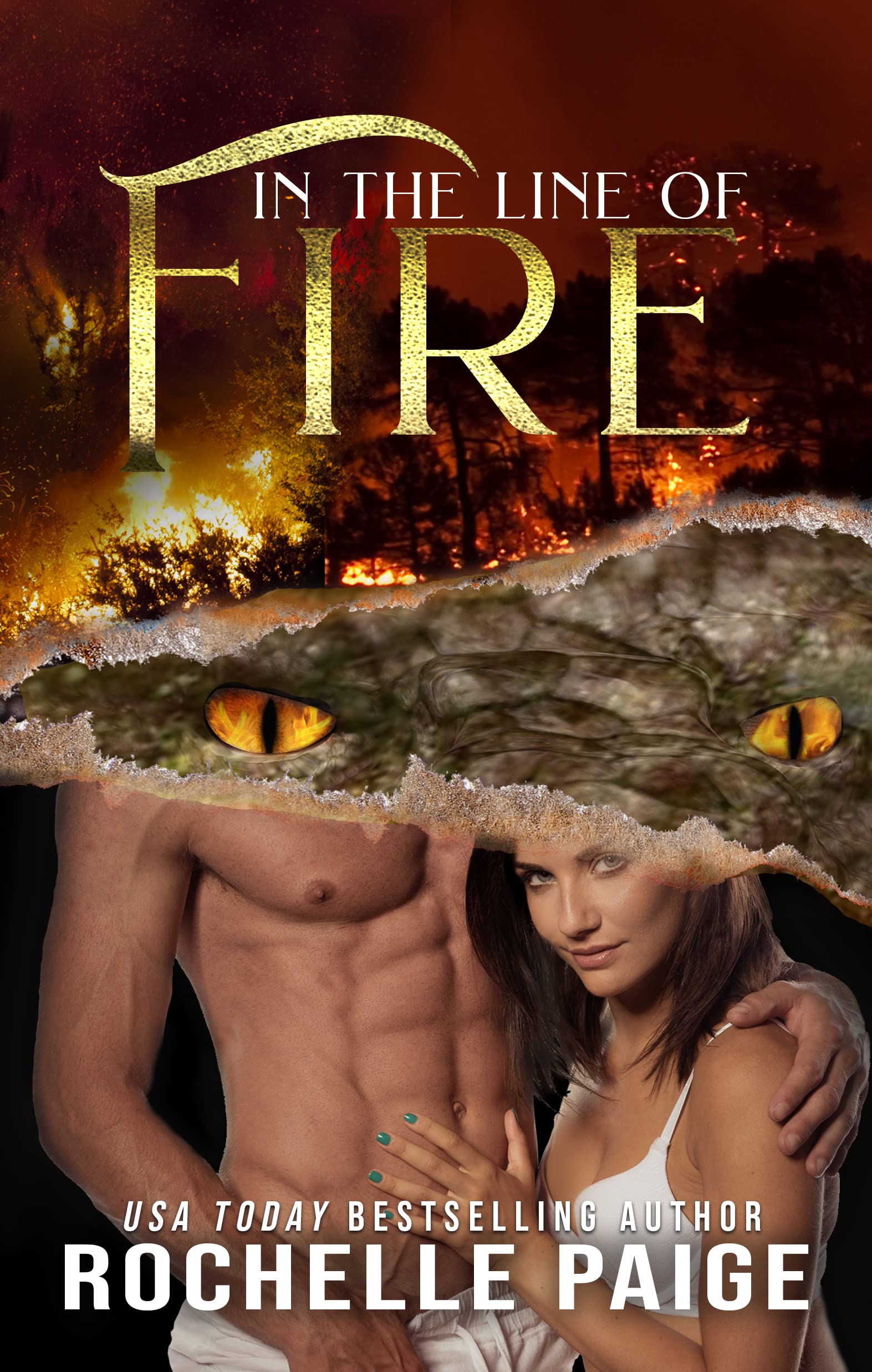 Cover of In the Line of Fire