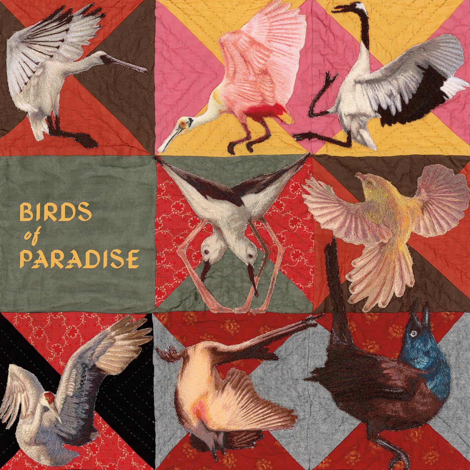 Birds of Paradise