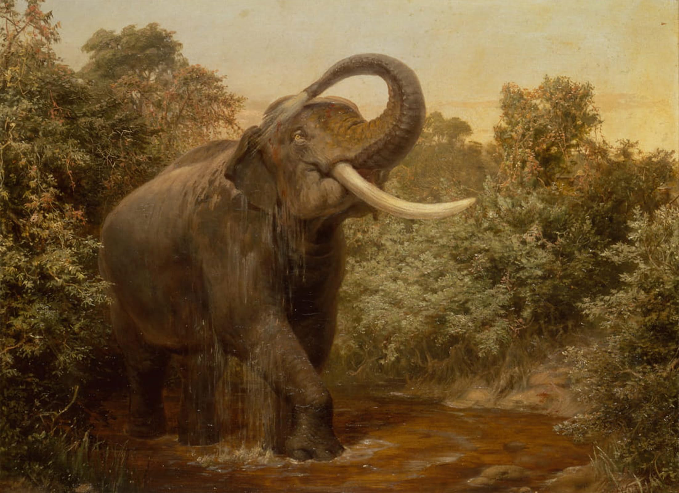 ARTXLXXBN Famous Print Painting Colorful Art Print the Monster Tusker by Wolf Canvas Art Decorations for Home Decor 60x90cm