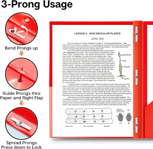 Vista 4 de Carpetas de plástico de dos compartimientos con dientes, tamaño carta, 2 carpetas de bolsillo de poliéster con cierres, Rojo vivo. Paquete de 2