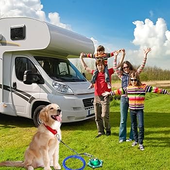 Dog Barrier: Top 5 Best Options To Secure Your Dog