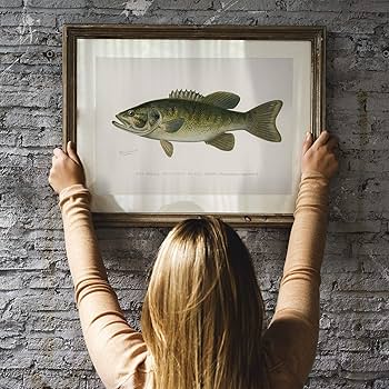 Amazon.co.jp: ブラック バス 魚 プリント ヴィンテージ 釣り