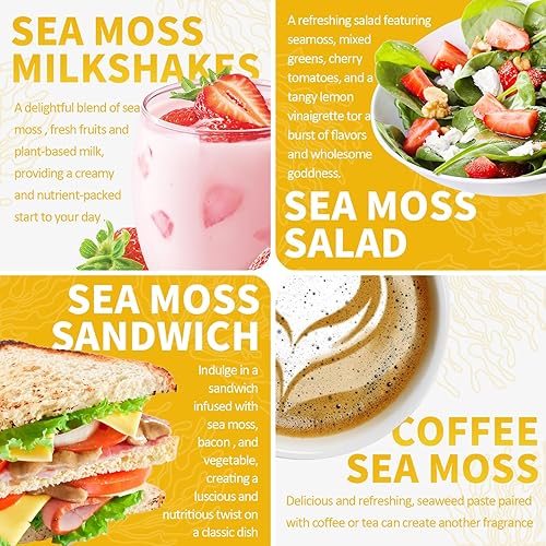 Miniatura 4 de NutriVigor Gel de musgo marino, (12 onzas) de musgo marino orgánico avanzado, apoyo inmunológico y digestivo, suplementos de gel de masa marina