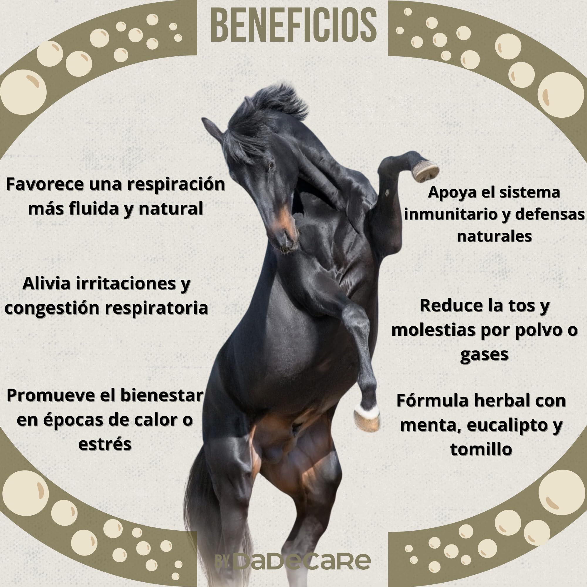 Broncare - Respiratorio Caballos 1L – Extractos de Menta, Eucalipto, Tomillo y Hierbas – Refuerzo Inmunitario y Bienestar Pulmonar – Ideal en Ambientes con Polvo, Calor o Estrés