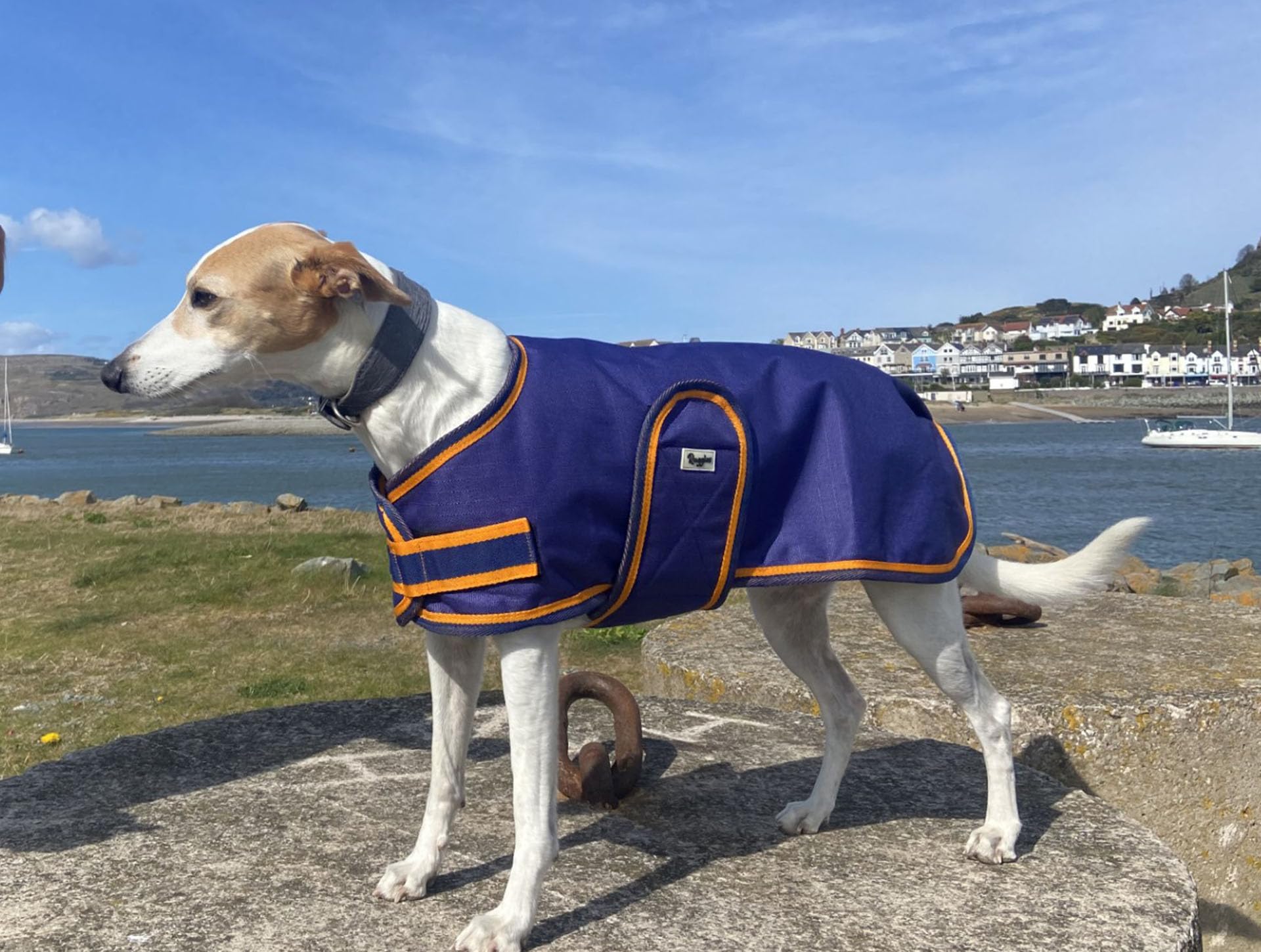 Ruggles Waterproof Dog Coat - Breathable, fleece lined dog rain jacket (Blue, 22")