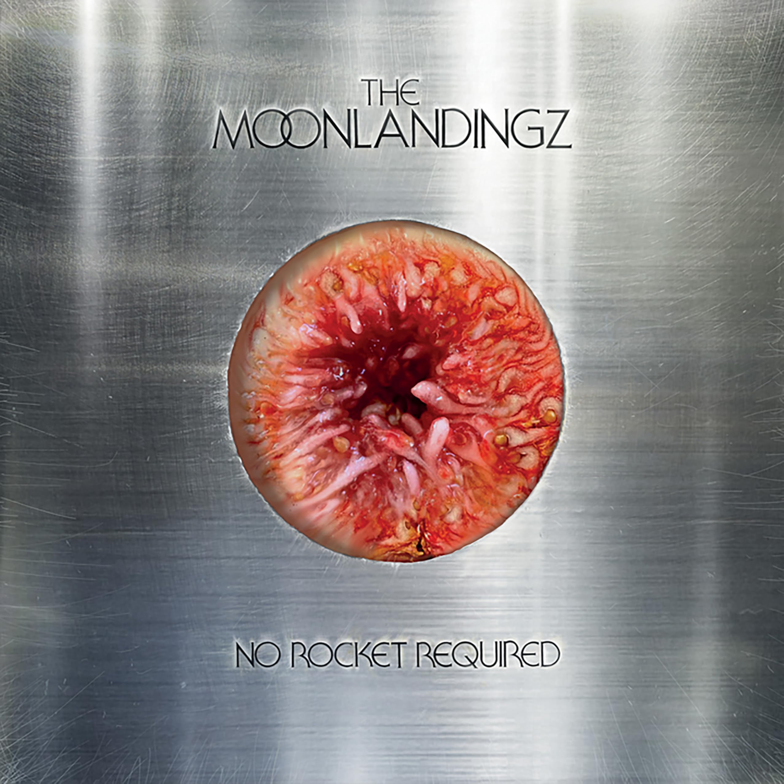 Moonlandingz No Rocket Required CD Europe Transgressive 2025 in g'fold sleeve