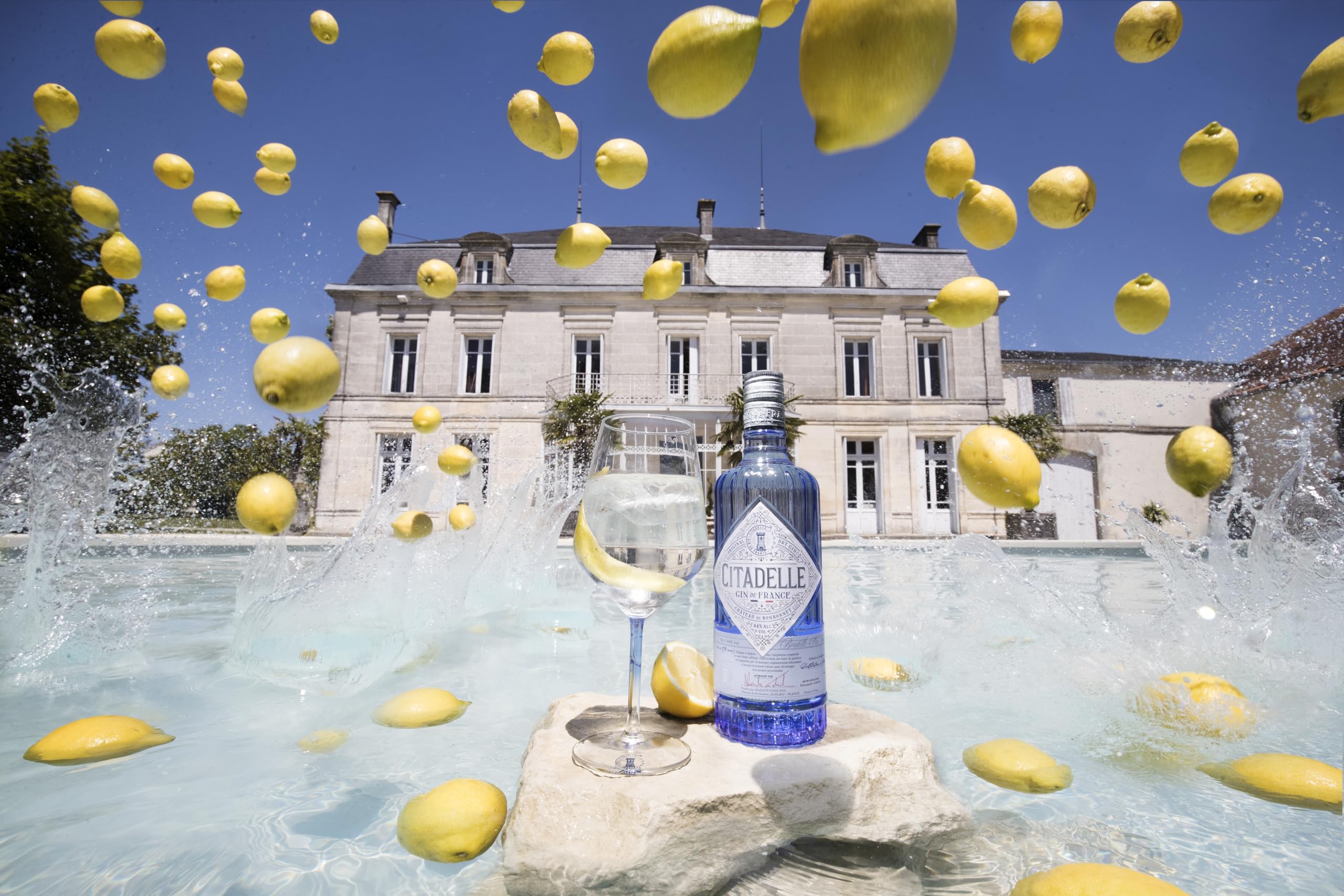 CITADELLE Gin - Distilled Gin - Origine : France - 44% Alcool - 70 cl | Origine : France / Poitou-Charentes - Notes Herbacées, Fleuries et d'Agrumes - Idéal en Cocktail Gin Tonic