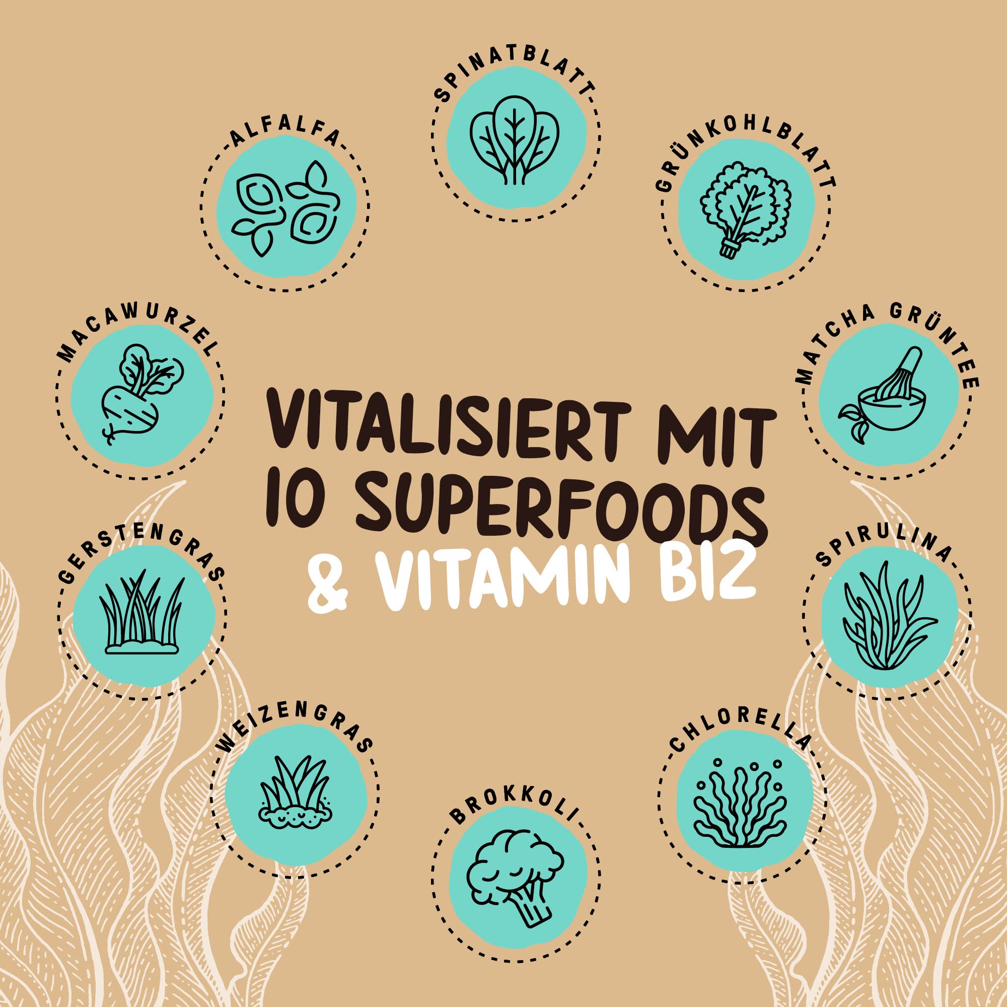 Powerstar VEGAN PROTEIN 500 g | Veganes Protein-Pulver ohne Soja | Mehrkomponenten Eiweiß-Pulver mit 10 Superfoods ergänzt | Deutsche Herstellung | Ideal zum Muskelaufbau | Salted Caramel
