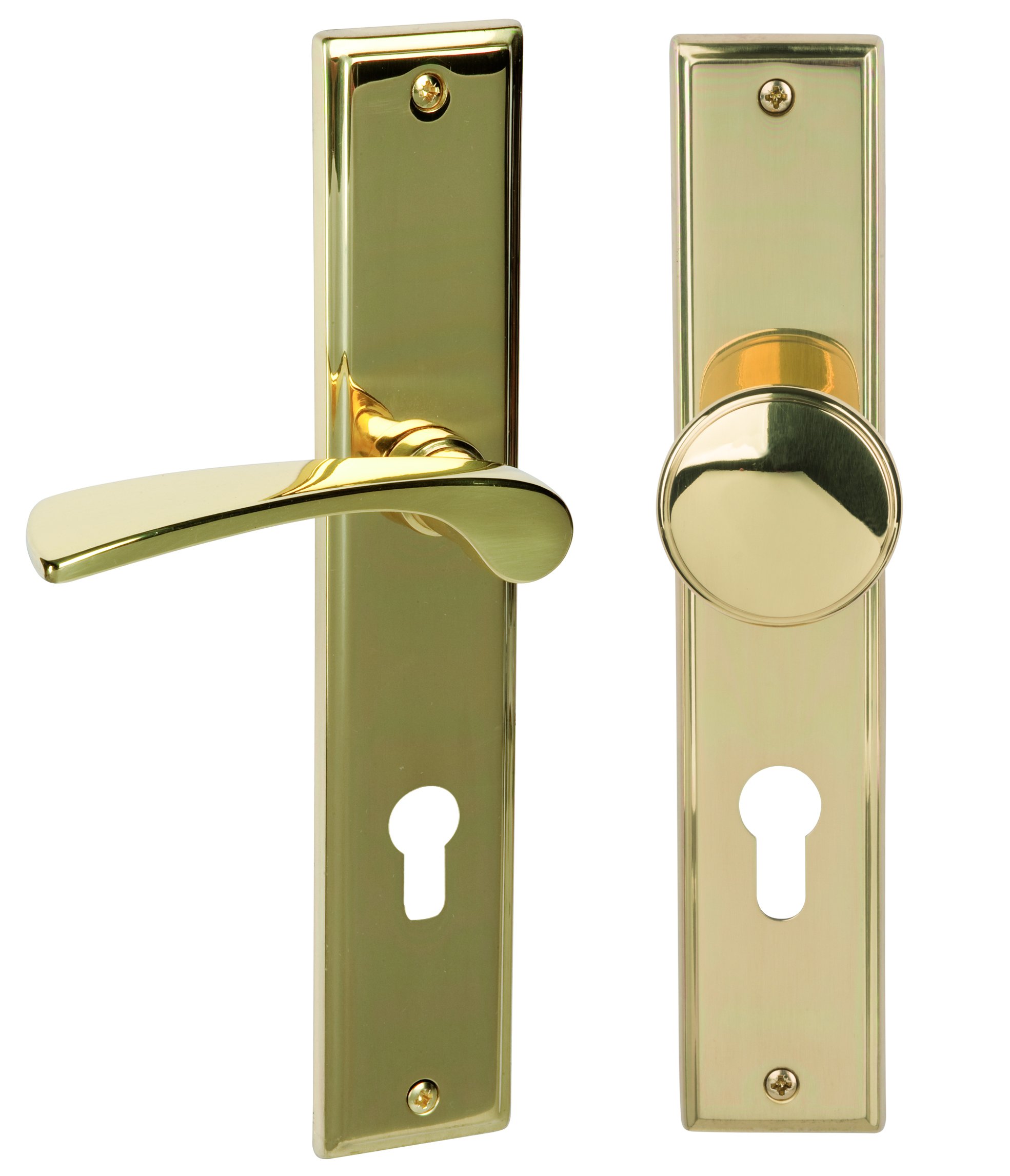 Alpertec Nelson, Long Escutcheon Door Handle Fitting Available in Various Colours and Types, 32214393, Polished Brass
