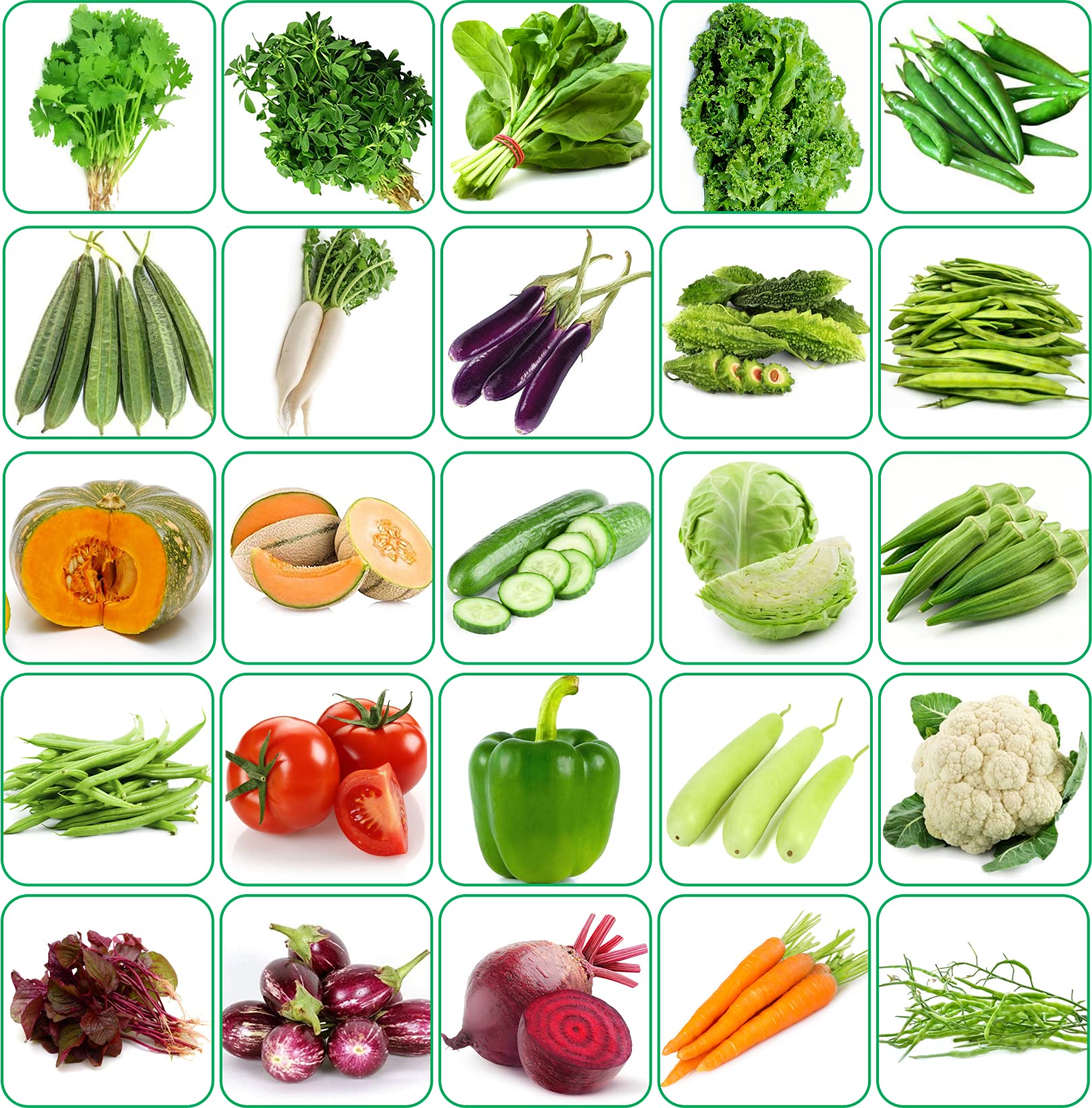 Agnico 25 Varieties of Vegetable Seeds 1700+ High Germination Seeds For Your Garden With Instruction Manual (B08ZXK35D6) Amazon Price History, Amazon Price Tracker