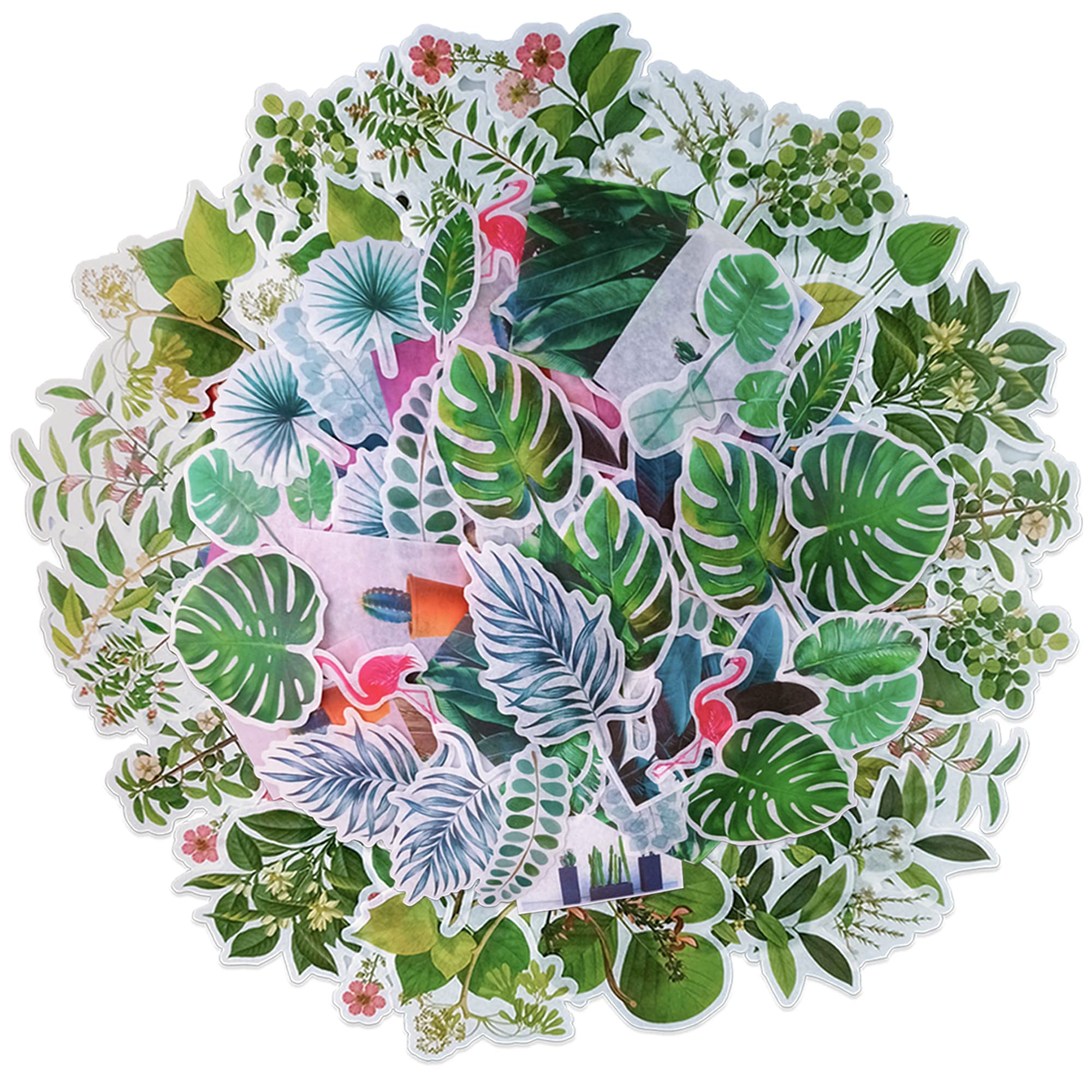 120 PCS Green Plants Stickers Vintage Adhesive Washi Paper Sticker Foliage Botanical Forest Stickers for Planner Journaling Scrapbook Water Bottle Laptop Decorative Crafts