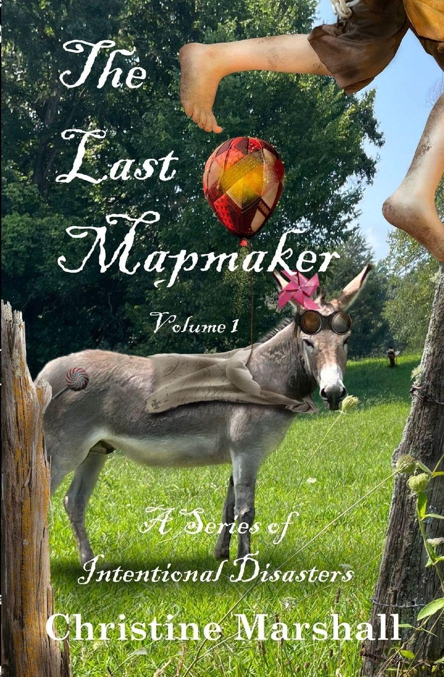The Last Mapmaker: A Series of Intentional Disasters Volume 1