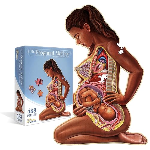 Pregnant Mother Anatomy Jigsaw Puzzle | 488-Piece Science Accurate Adult
