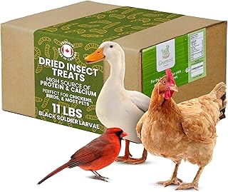Dried Black Soldier Fly Larvae for Chickens & Ducks – Treats for Ducks, Hens, Wild Birds, Lizards, Tortoises & Fish – All Natural High Protein & Calcium – Mealworms Alternative – Made in North America