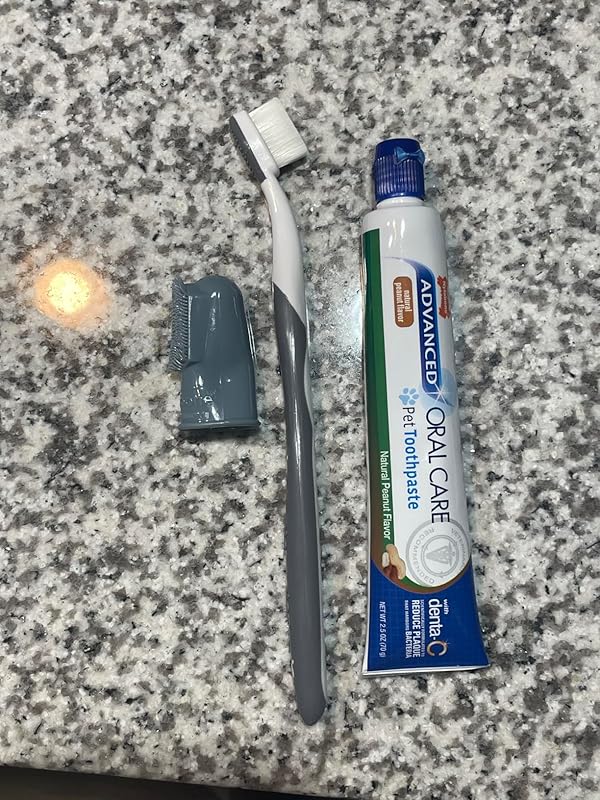 Nylabone Advanced Oral Care Natural Dog Dental Kit Peanut Flavor 2.5 oz. : Pet Toothbrushes : Pet Supplies Review Image