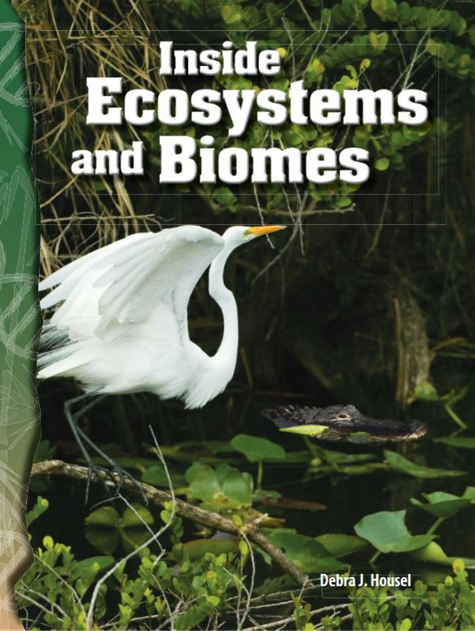 Inside Ecosystems and Biomes (Science: Informational Text)