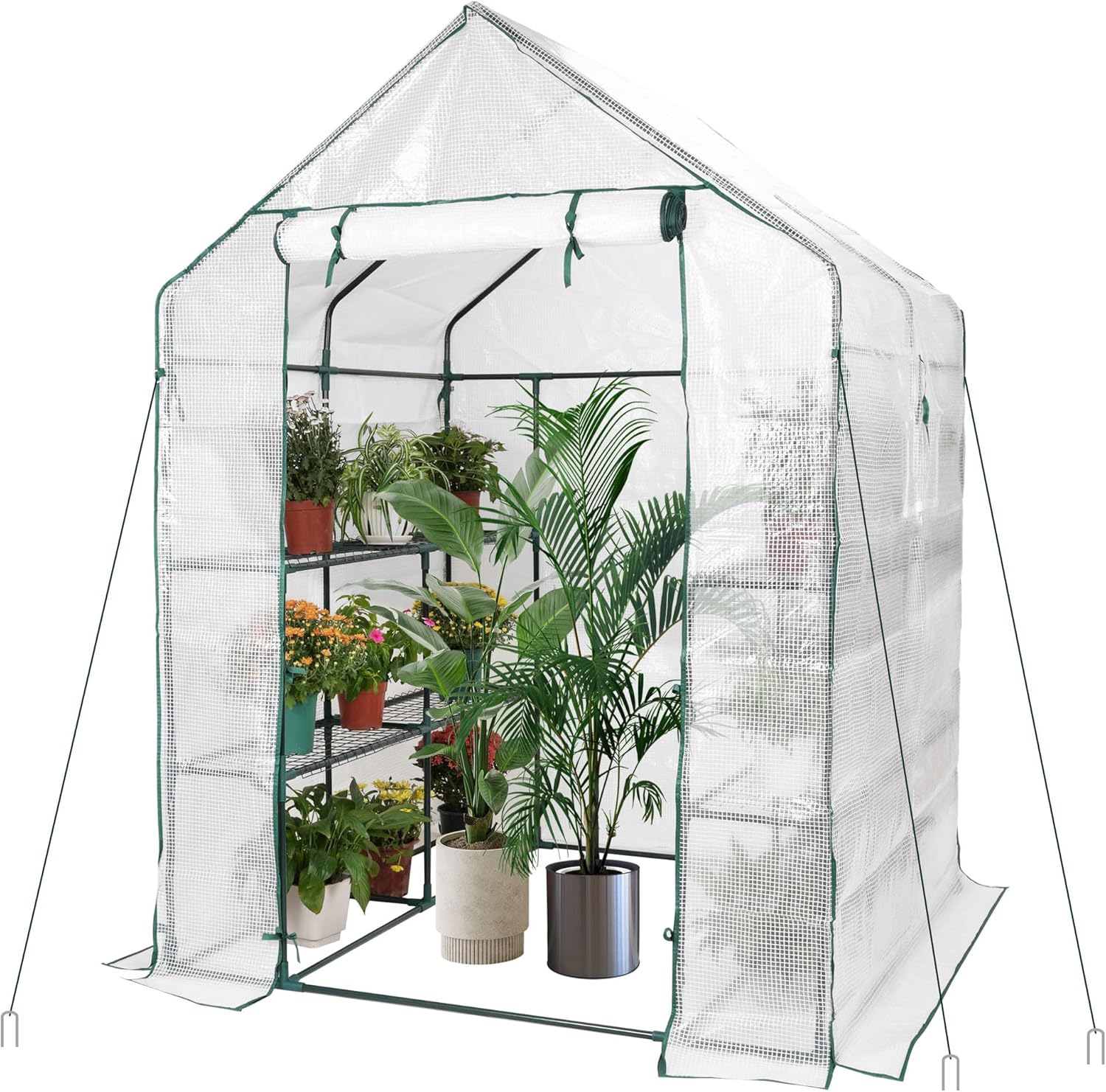 Amazon.co.jp: ビニールハウス 温室 2m/3m/4m/5m/6m 屋外用ウォーク