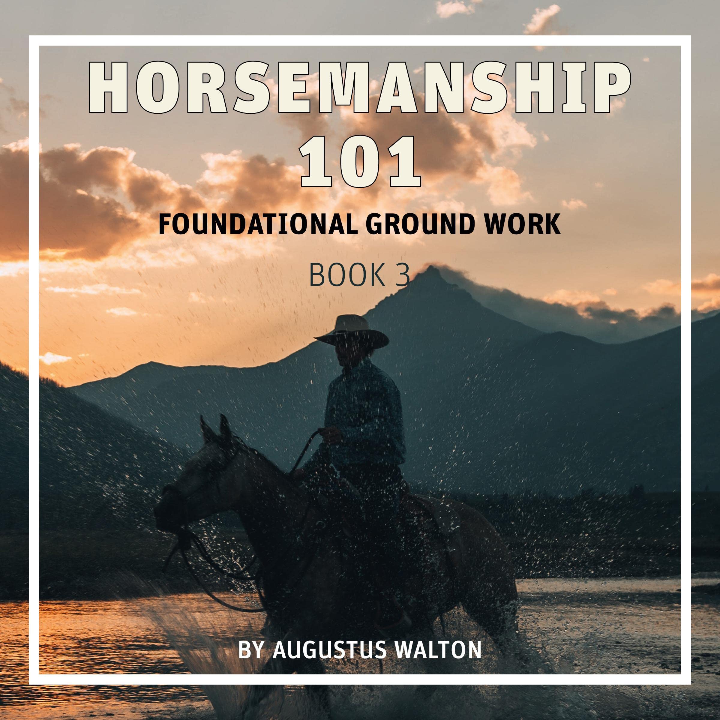 Cover art for Horsemanship 101: Foundational Groundwork