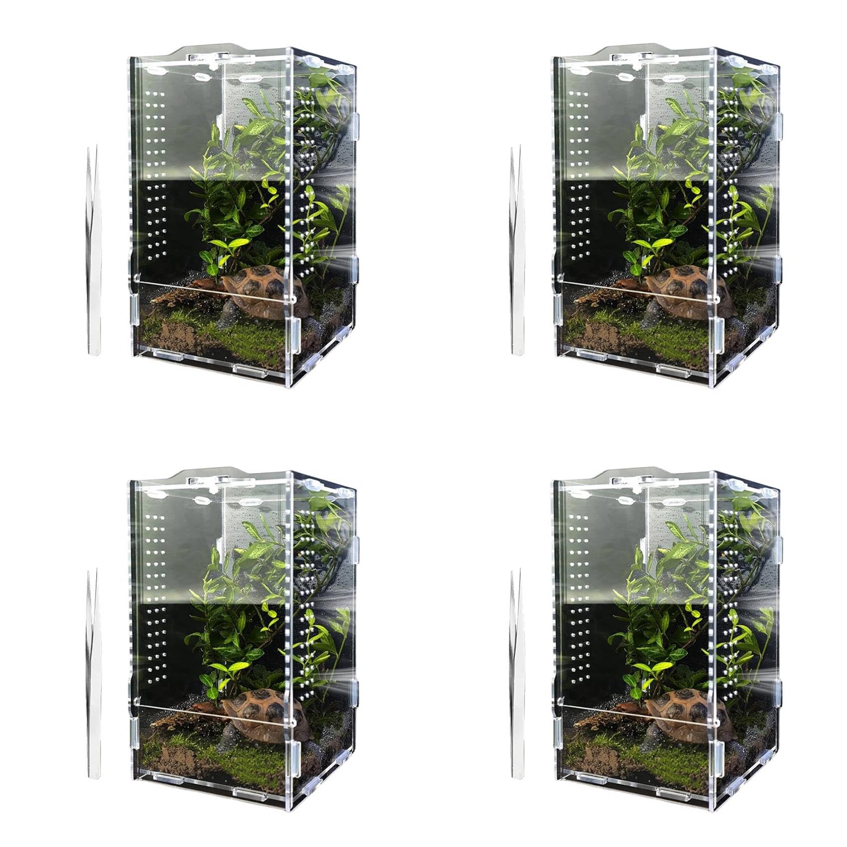 Grand terrarium en acrylique anti-évasion pour la sécurité de vos tarentules