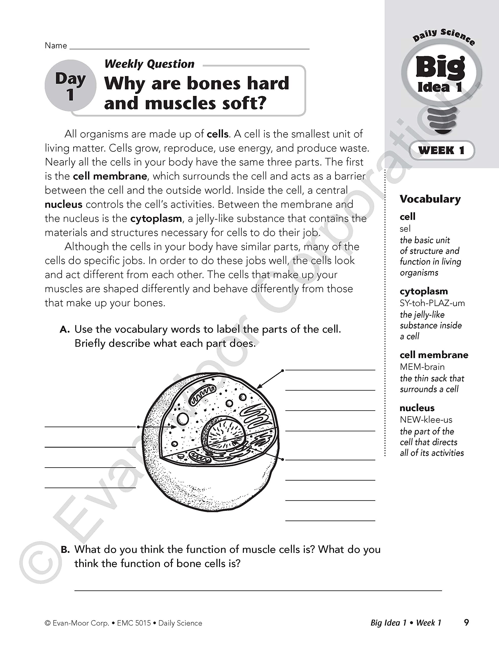 Daily Science, Grade 5 Teacher Edition
