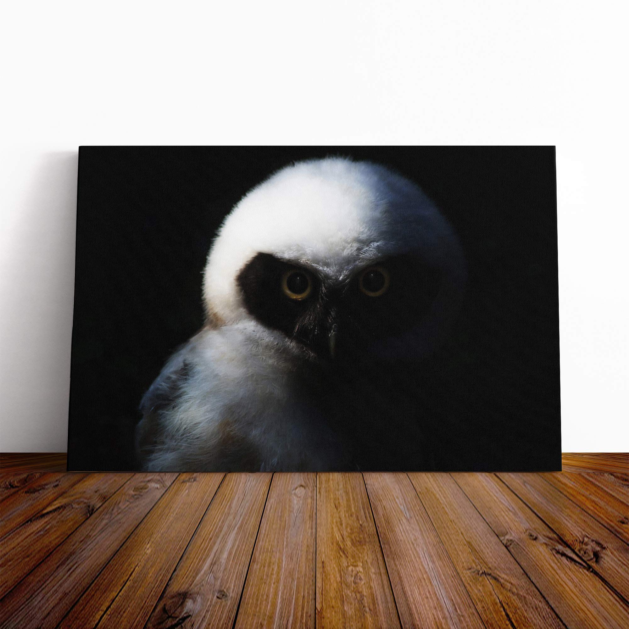 Owl Bird (5) Canvas Print | Gallery Wrapped 30mm Frame Wall Art | 24x16 inches | Ready to Hang | Modern Animals Picture | Living Room Bedroom Lounge Office