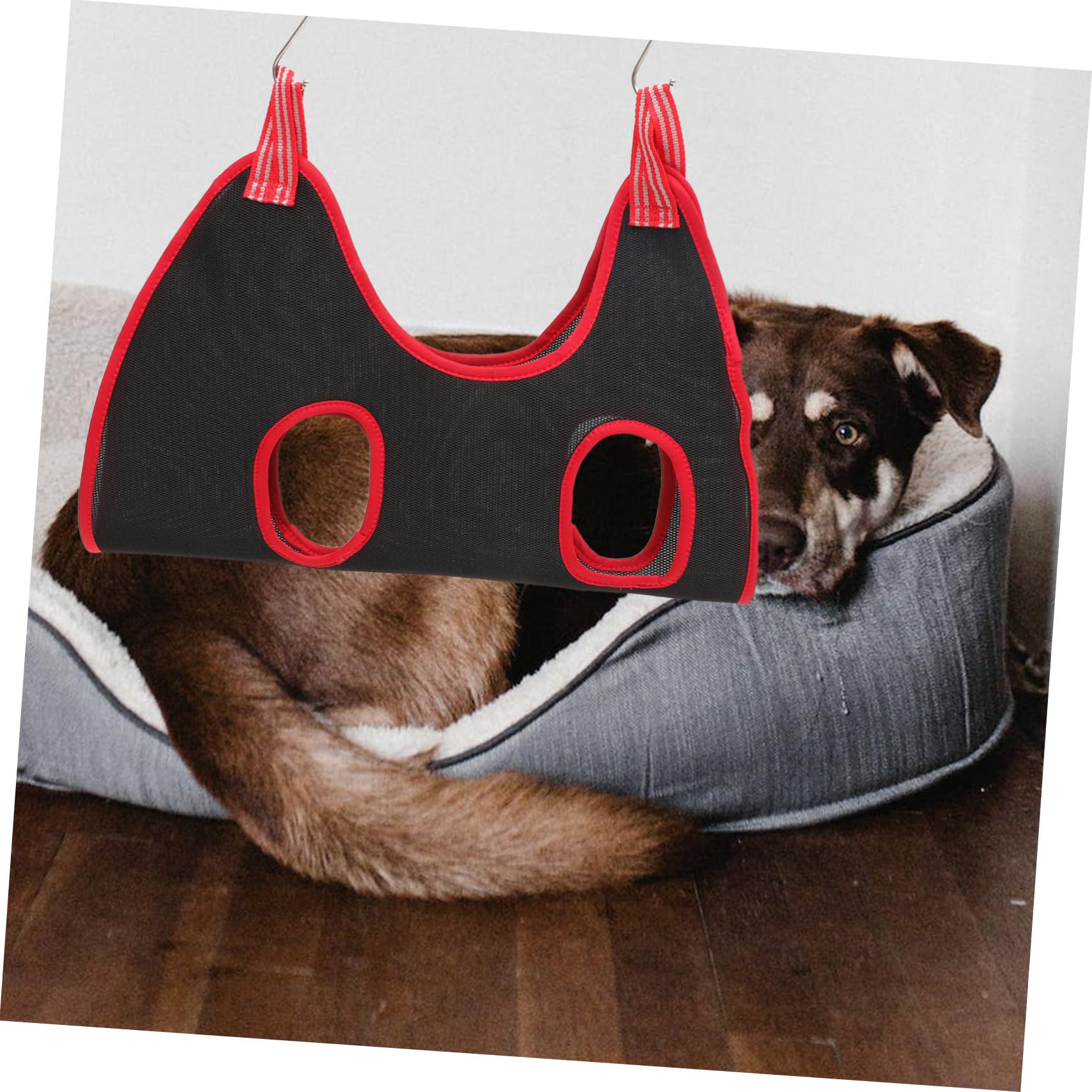 Garneck Pet Nail Care Tools Complete Set Clippers Comb and Sling for Grooming Large Dogs and Cats Random