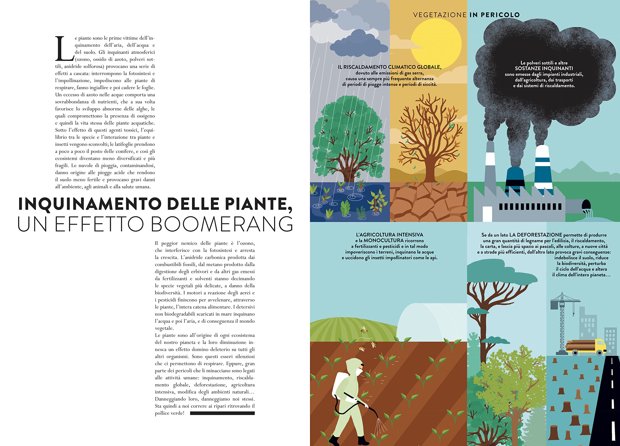 Mondo vegetale. Un libro animato per esplorare le meraviglie della natura. Ediz. a colori