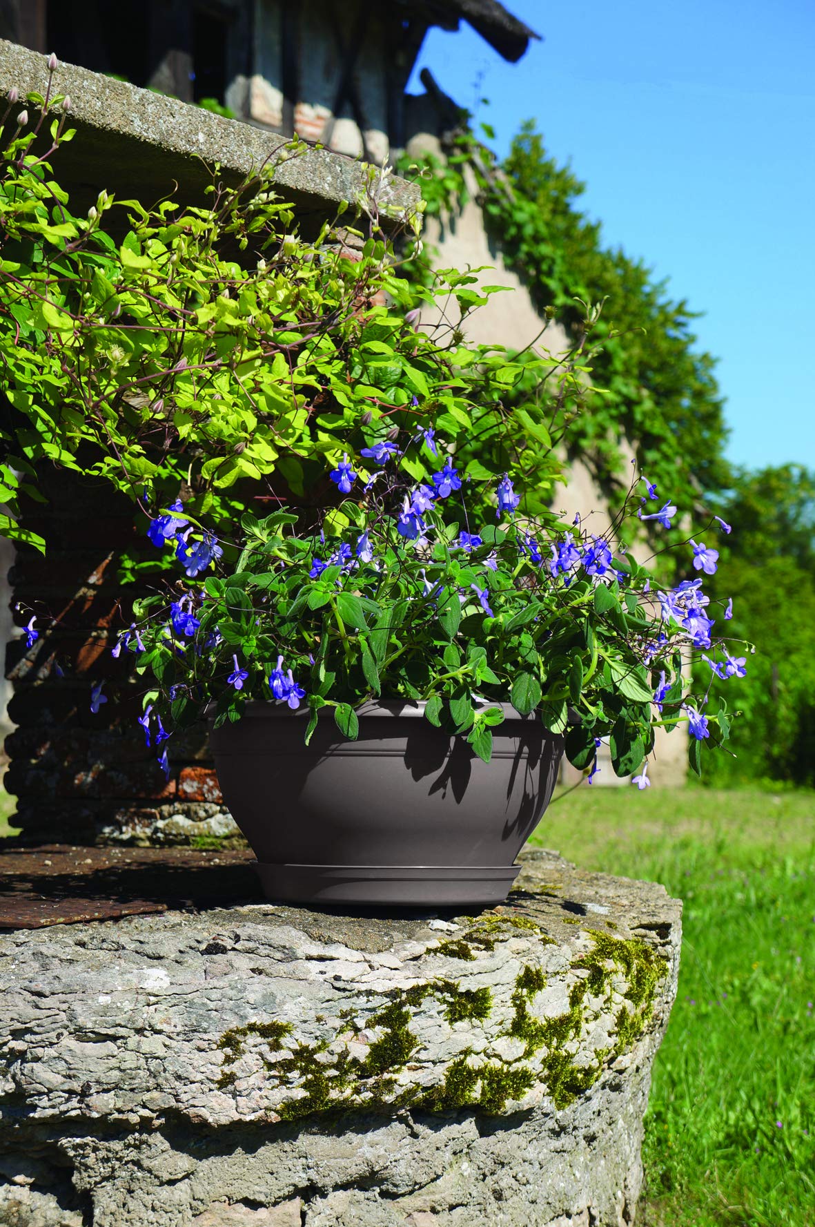 Poétic- Coupe Pot de Fleurs - Coupe Ronde d'extérieur avec