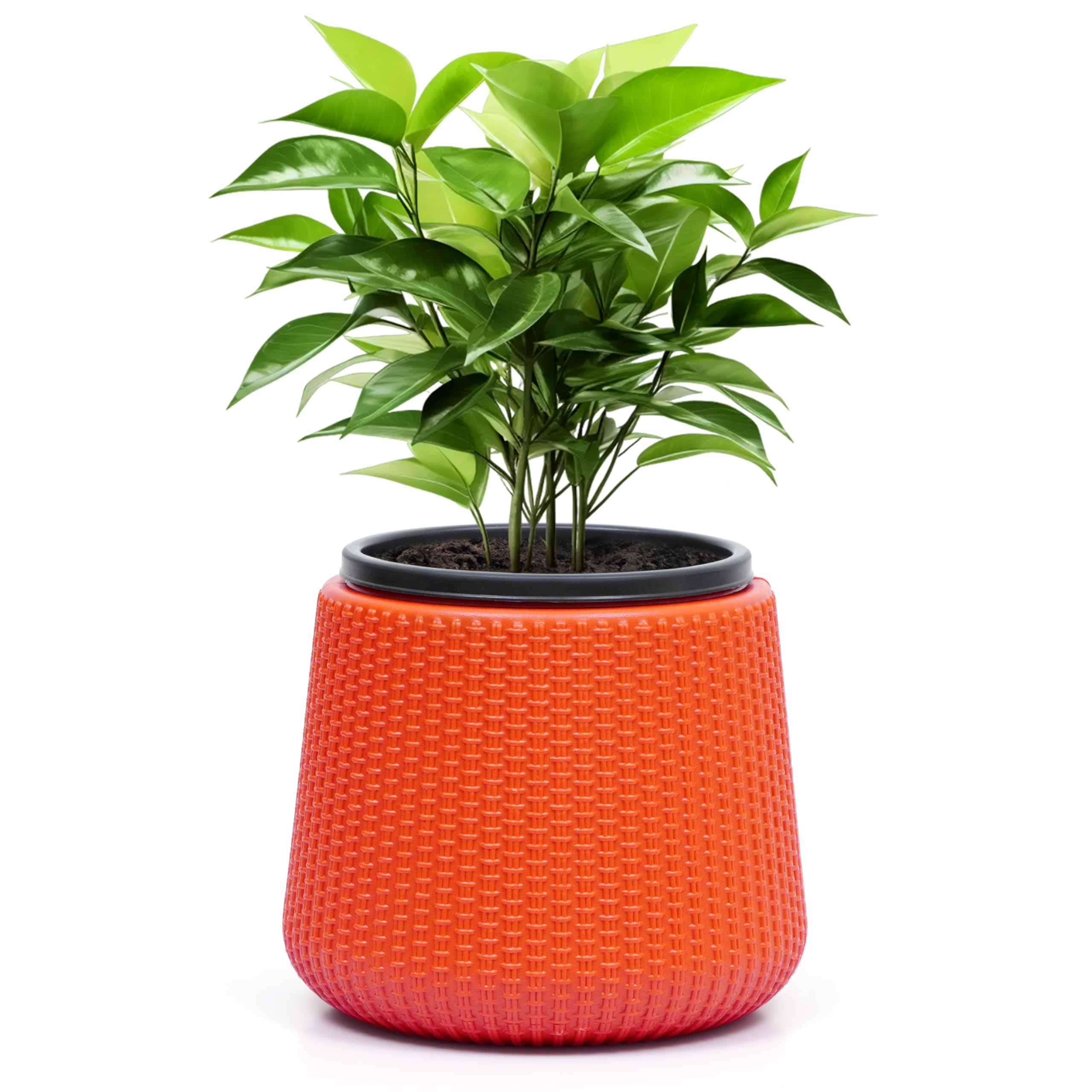 Livzing 7 inch Plastic Self Watering Flower Pots | Indoor & Outdoor Planters | Planter Pots| Self Watering System | UV Resistant | Effortless Watering | Reduce Maintenance | (Orange) (B0D2688BCX) Amazon Price History, Amazon Price Tracker