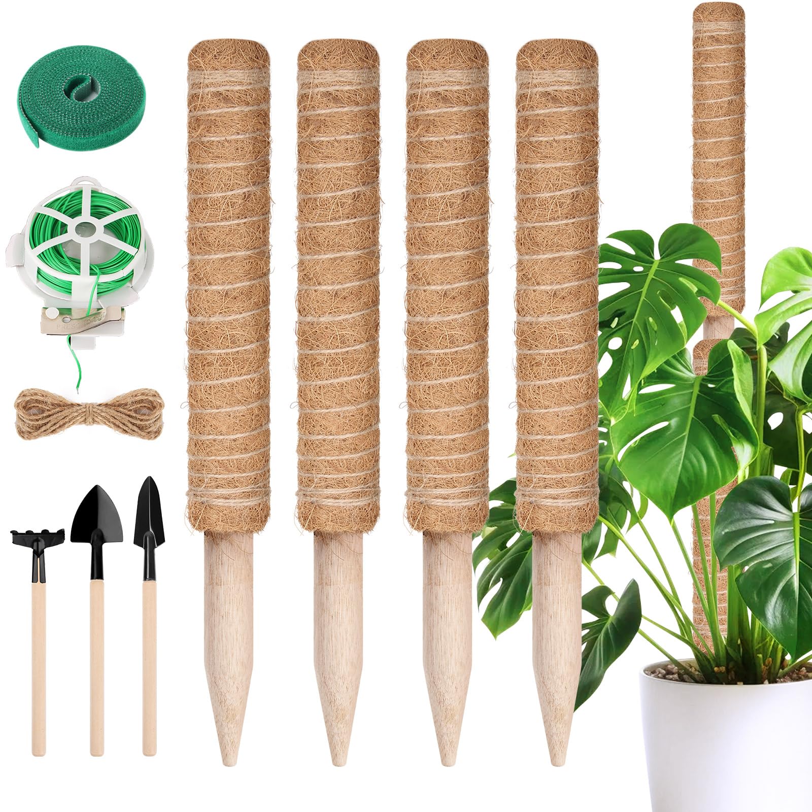 BELICOO Monstera Rankhilfe 4 Stck, 41cm Moosstab mit Zubehr, Stapelbare  Erweiterung Handgefertigte Kokosstab, Pflanzenstab Pflanzensttze fr  Indoor Pflanzen Zimmerpflanzen : Amazon.de: Garten