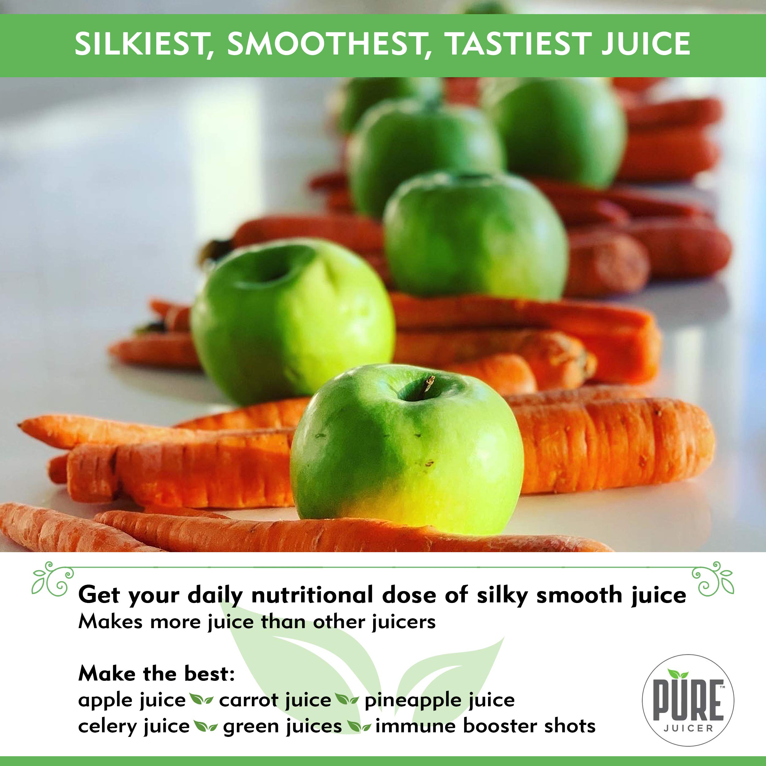 PURE Juicer TwoStage Masticating Juicer Grinder and Hydraulic Press for True Cold Press