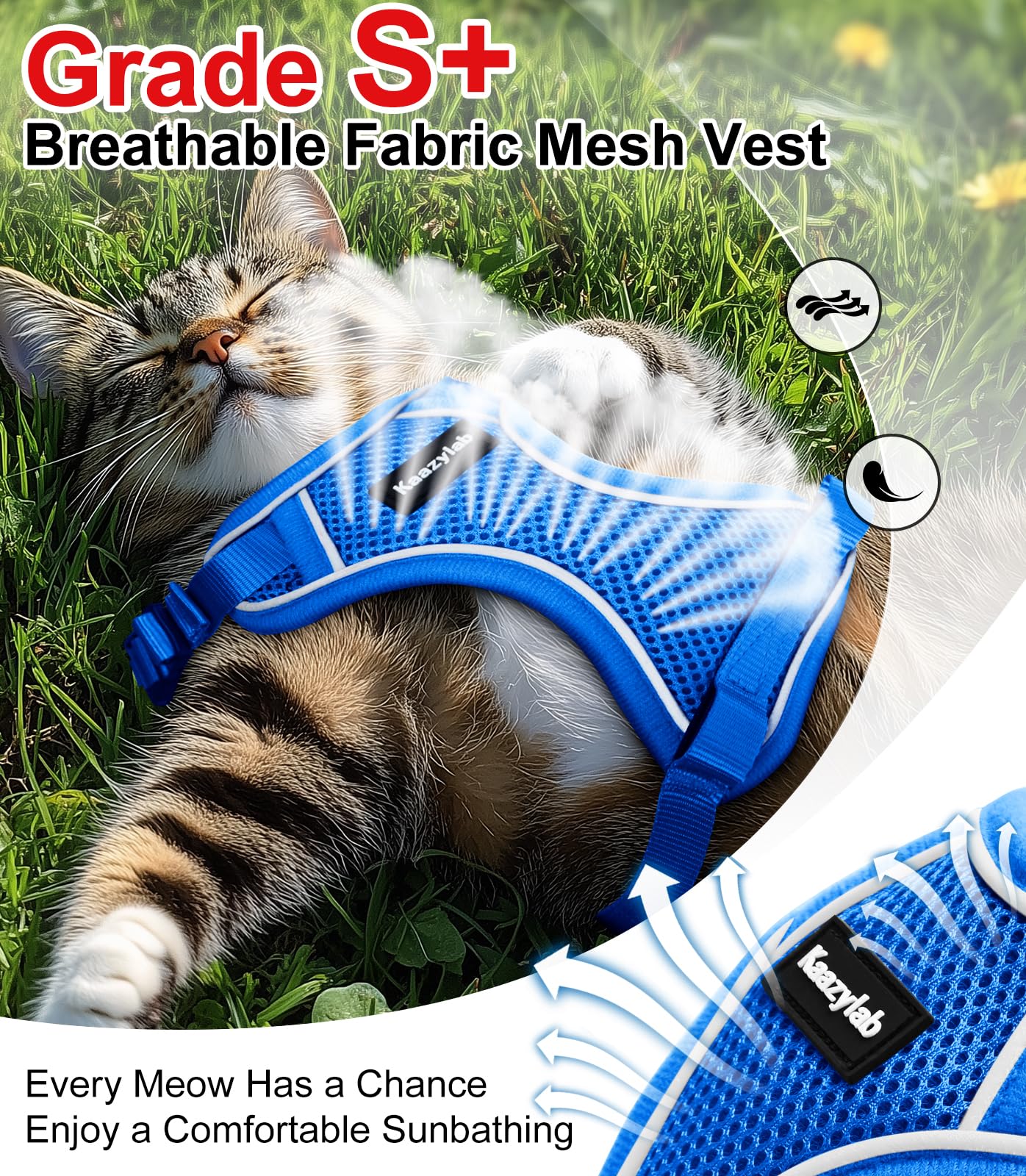 Catloveページ Soft Cat Harness Rabbitgoo Cat Harness And Leash For Walking