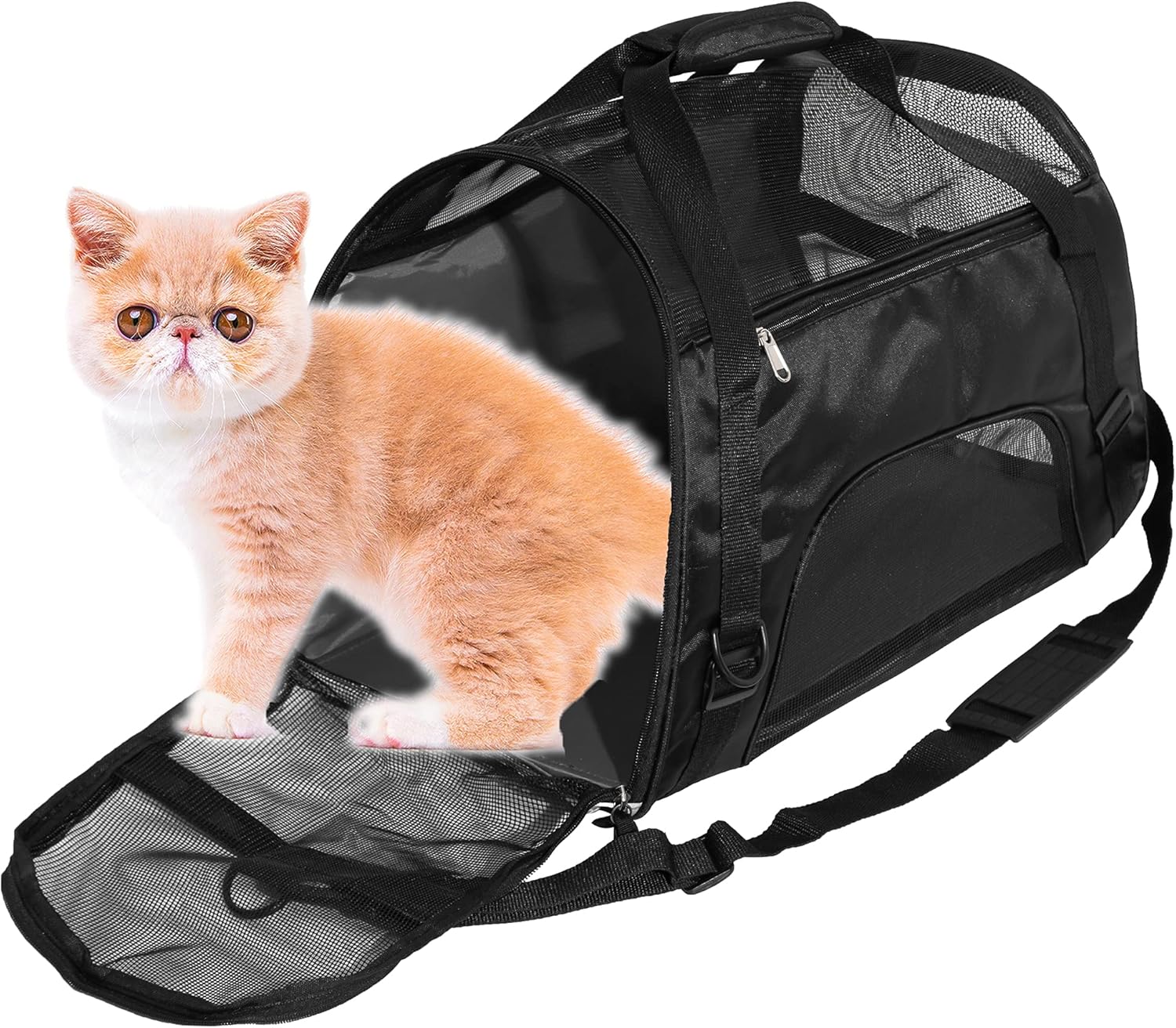 cheap cat carrier