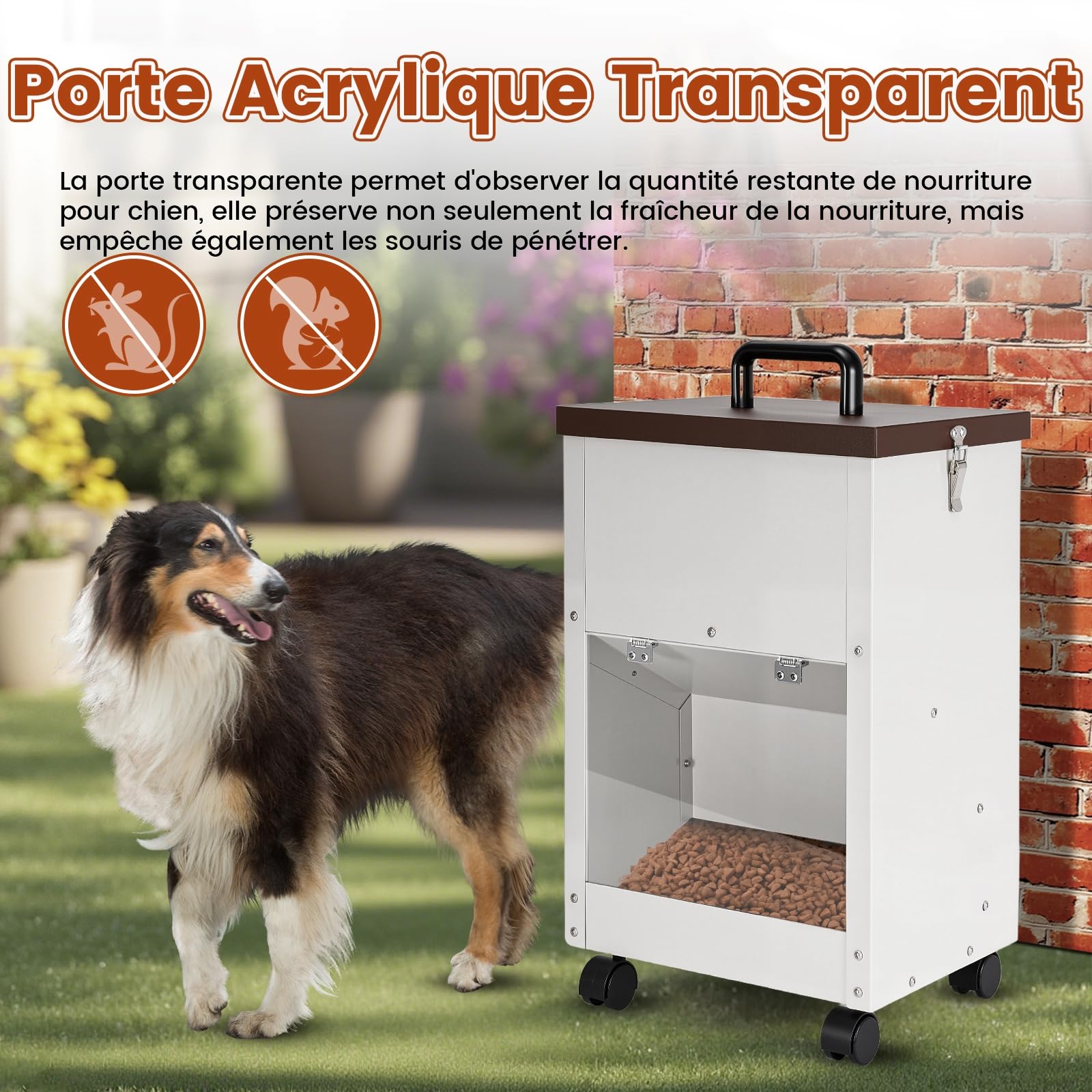 Nourriture automatique galvanisée pour chien de grande race 30 lbs Distributeur de nourriture pour chien avec roues pour grands chiens en métal Gravity Feeder extra large auto-alimentation (blanc
