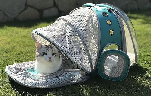 Miniatura 38 de Mochila polarizada doble expandible para gatos, adecuada para mascotas de hasta 20 libras, cápsula espacial expandible delantera y trasera