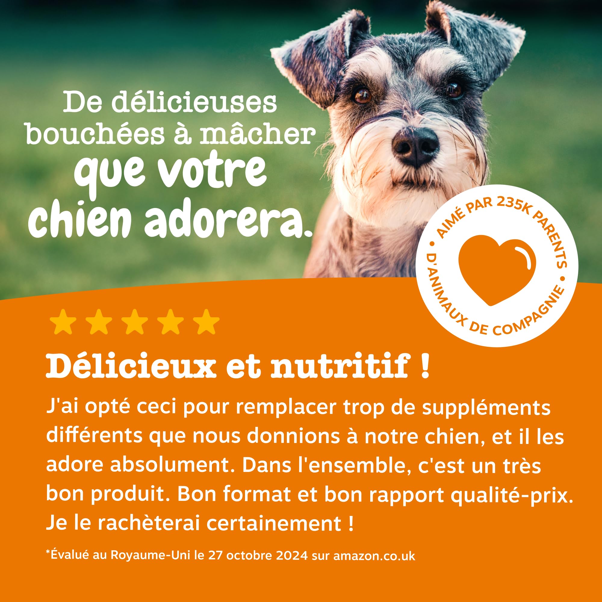 Zesty Paws Bouchées Multifonctions 9-en-1 Chien Senior | Articulations, Yeux, Cerveau, Cœur et Immunité | Vitamines A, B3, B5, C, Acide Folique, Biotine | Usage Quotidien | 90 Bouchées
