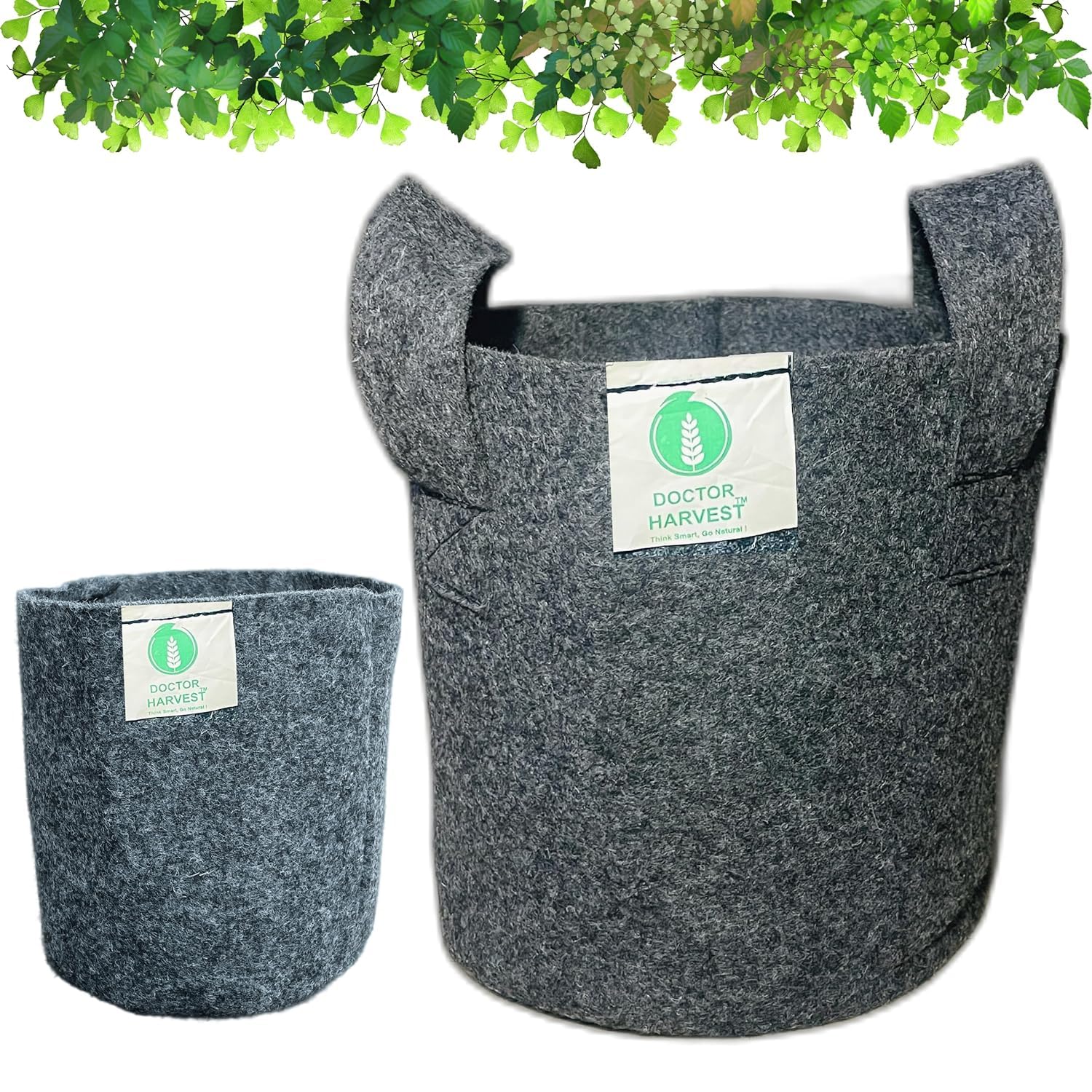 Doctor Harvest Plant Grow Bag | 360 GSM Geo Fabric Grow Bags | Use for Terrace Gardening & Home Gardening (18x18 inch, 6) (B0CBQQ4Q5T) Amazon Price History, Amazon Price Tracker