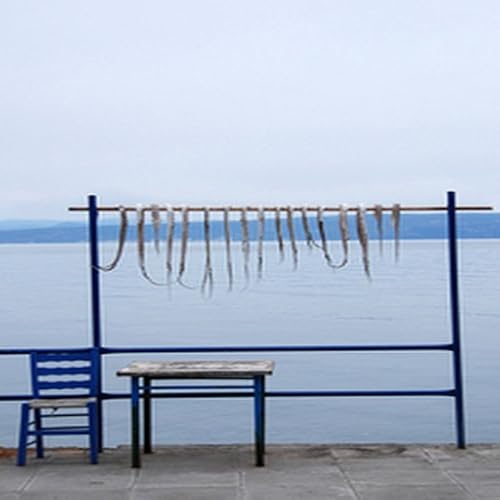 Penne with Creamy Vodka Sauce - //medicalbooks.filipinodoctors.org