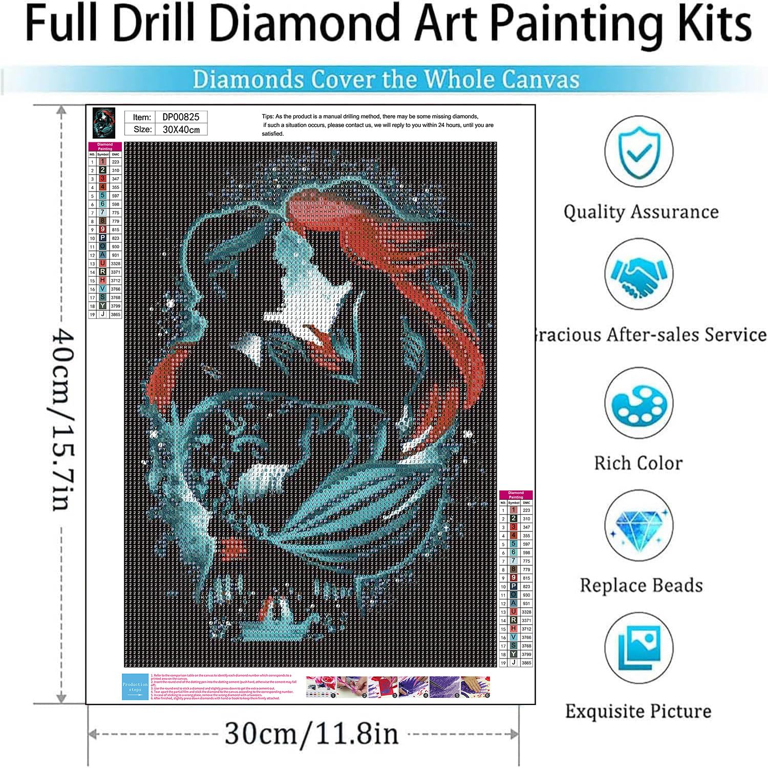 Amazon.com: GemZono Diamond Art Kits for Adults,5D Princess