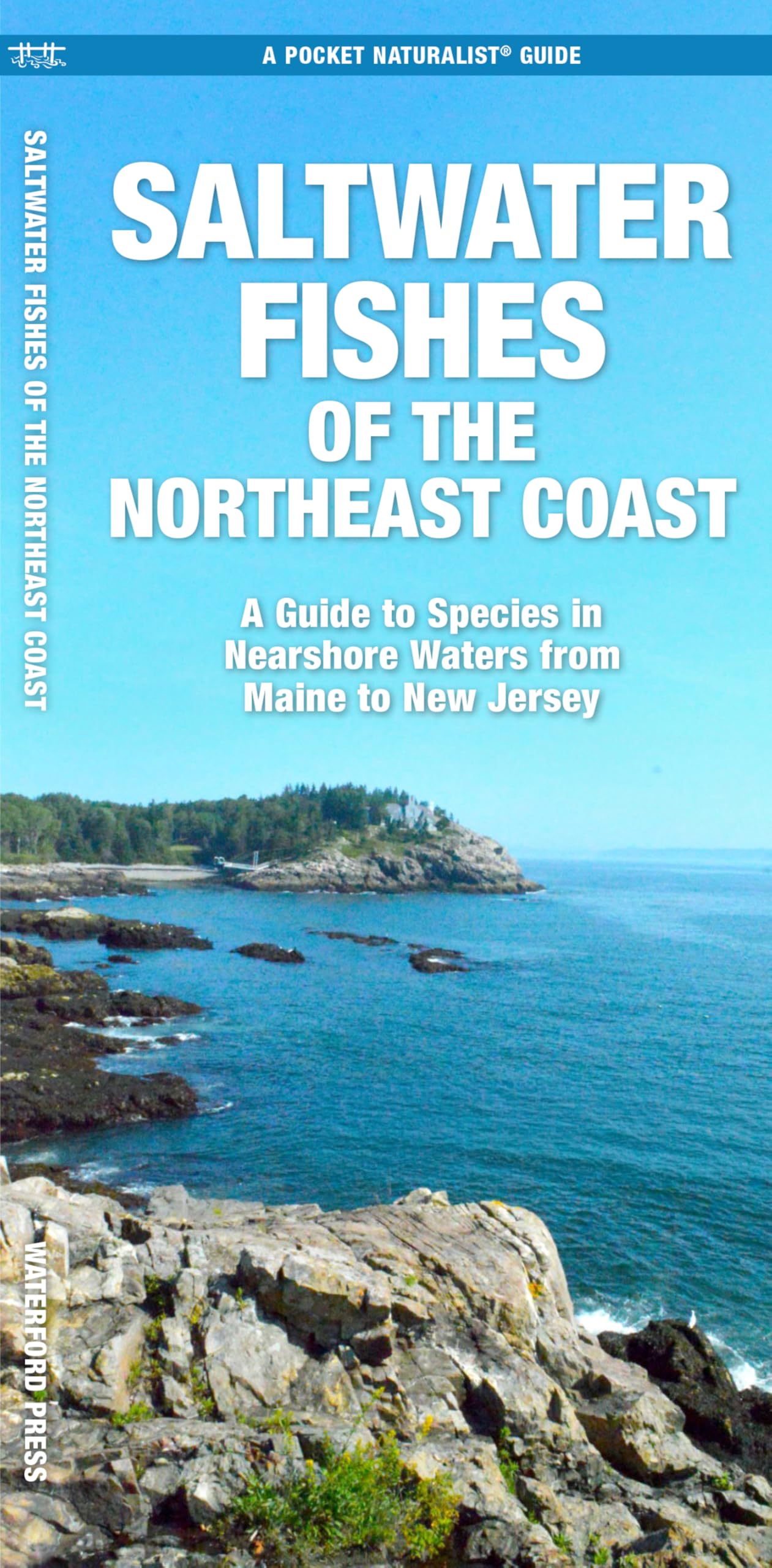 Saltwater Fishes of the Northeast Coast: A Guide to Species in Nearshore Waters from Maine to New Jersey (Nature Observation North America)