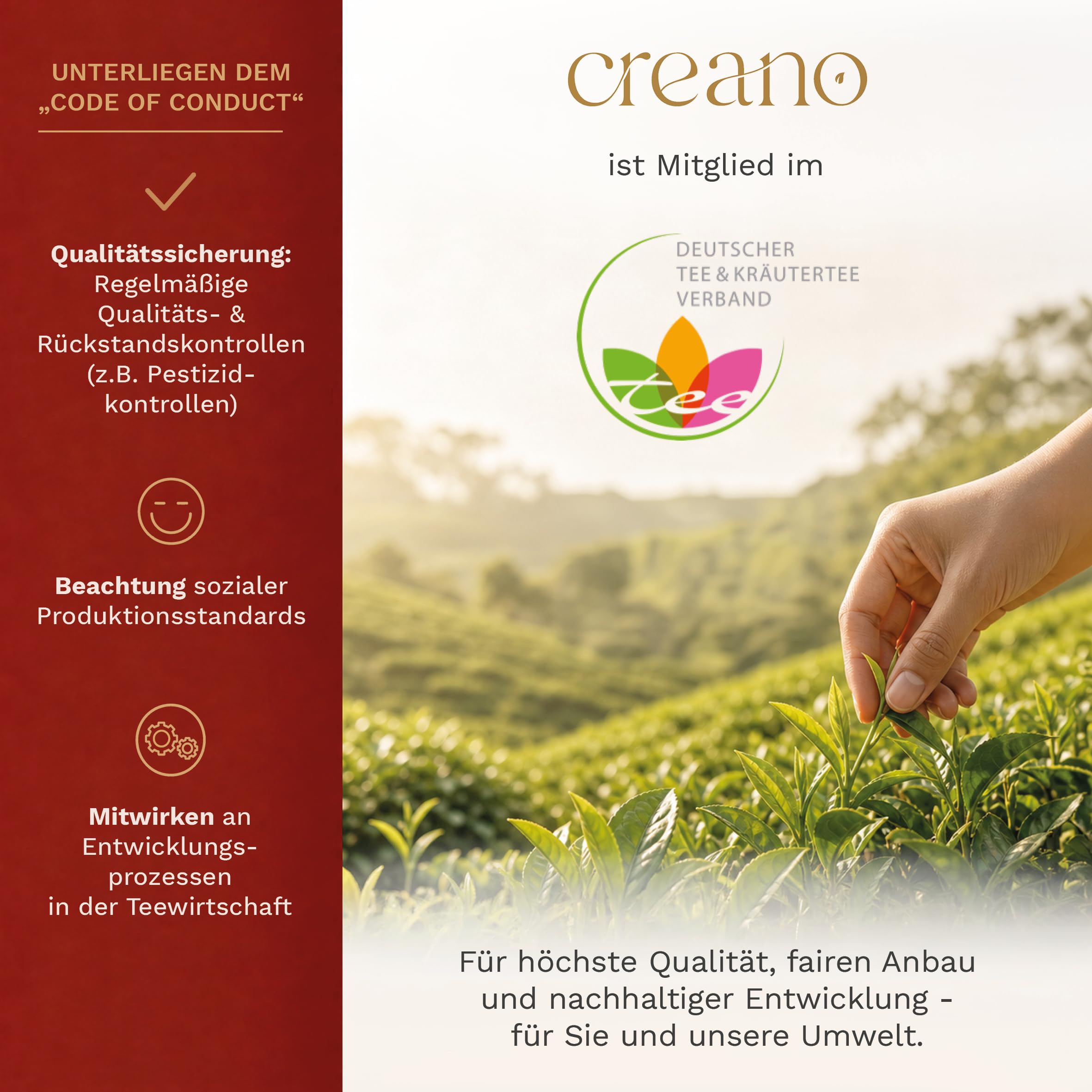 Creano Teeblumen-Mix Geschenkset mit 500ml Teekanne in edler Holzbox mit 6 verschiedenen Sorten ErblühTee (Weißer Tee)
