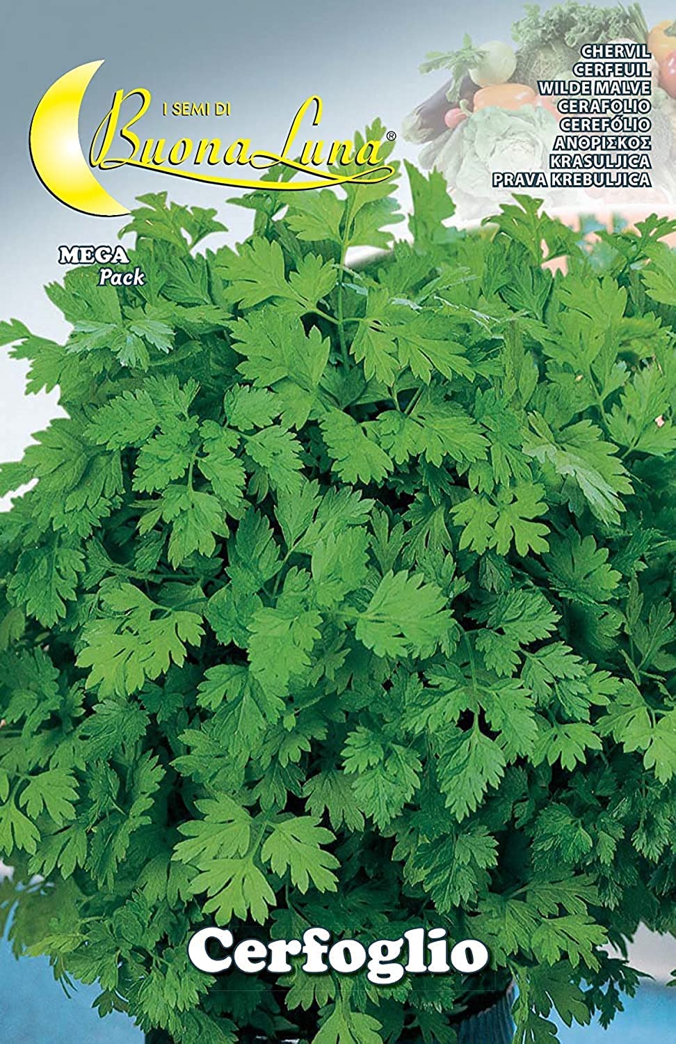 BOUNA CHERVIL CERFOGLIO