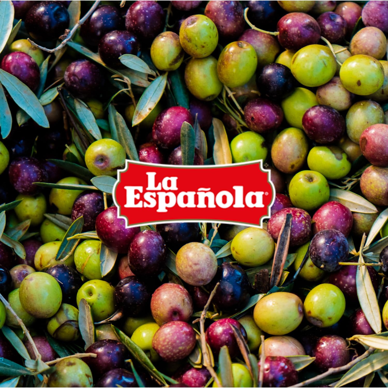 LA ESPAÑOLA - Aceite de Oliva Virgen, Aroma Andaluz. Lata 5 l